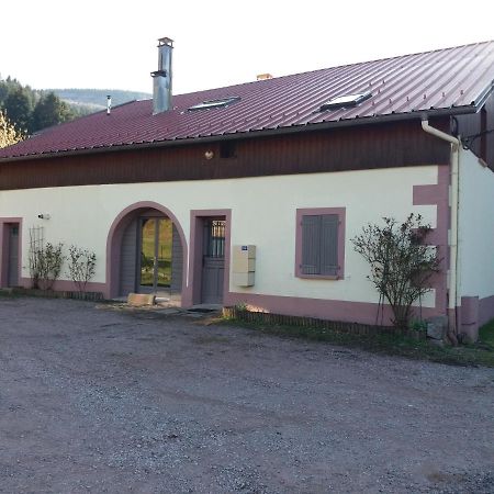 Appartement 3 Personnes Tout Equipe Vosges. Rochesson Exteriér fotografie